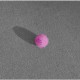Yoyo