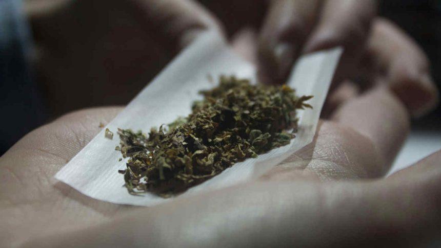 Abre en Majadahonda el primer club legal de consumidores de marihuana: 150 socios en Zhara