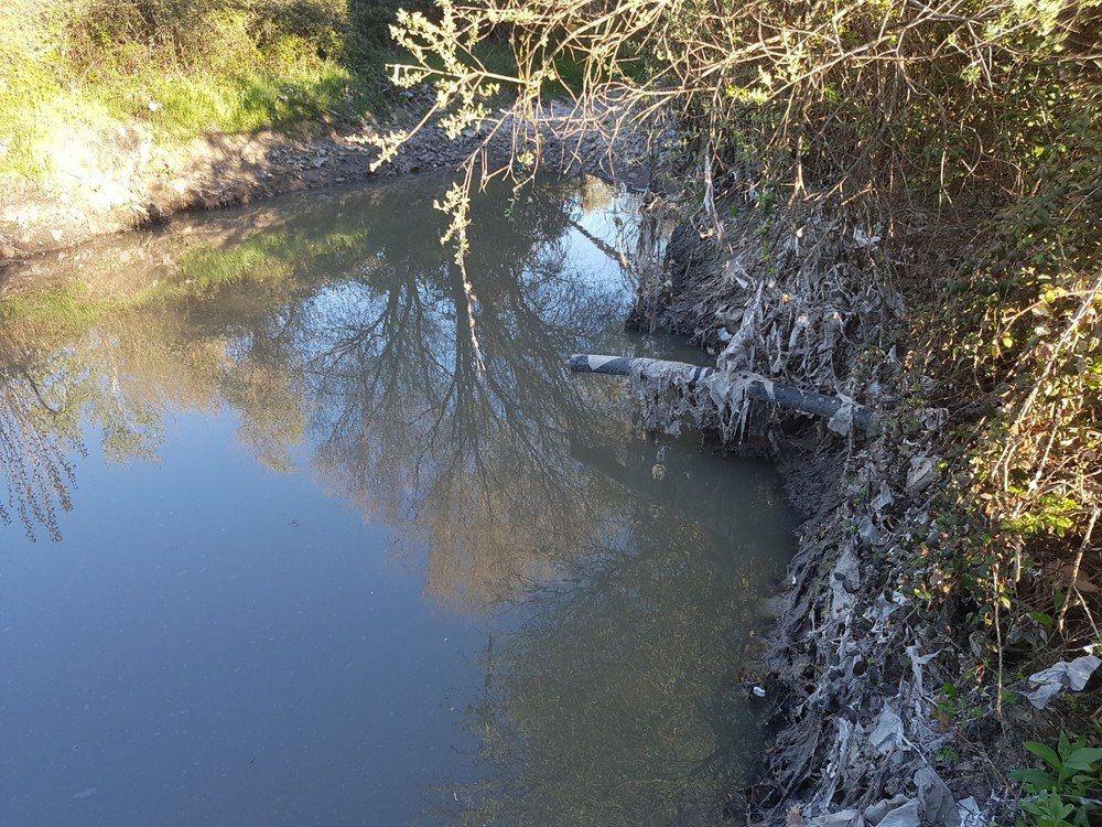 PSOE denuncia «malos olores» y «aguas fecales» vertidas en el Arroyo de Vallelargo (Majadahonda)