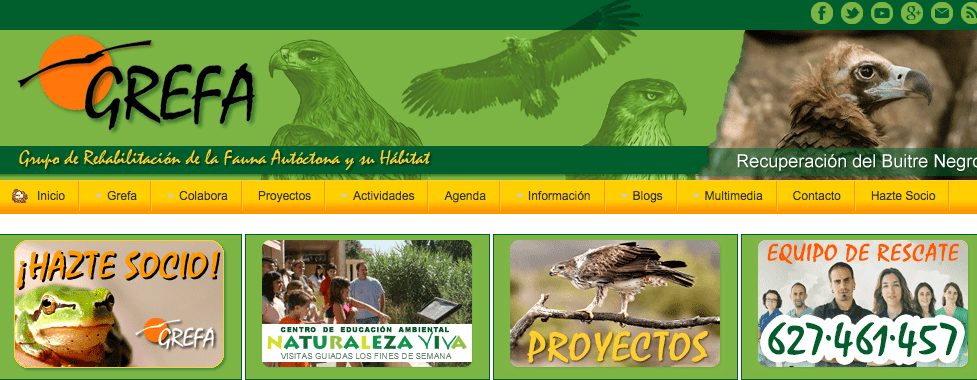 GREFA Majadahonda abre sus puertas a la prensa con motivo del Día Mundial del Medio Ambiente