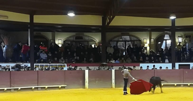 El novillero de Majadahonda Santiago Espín brilla a «altísimo nivel» en Extremadura pero aguarda expectante el «corte»