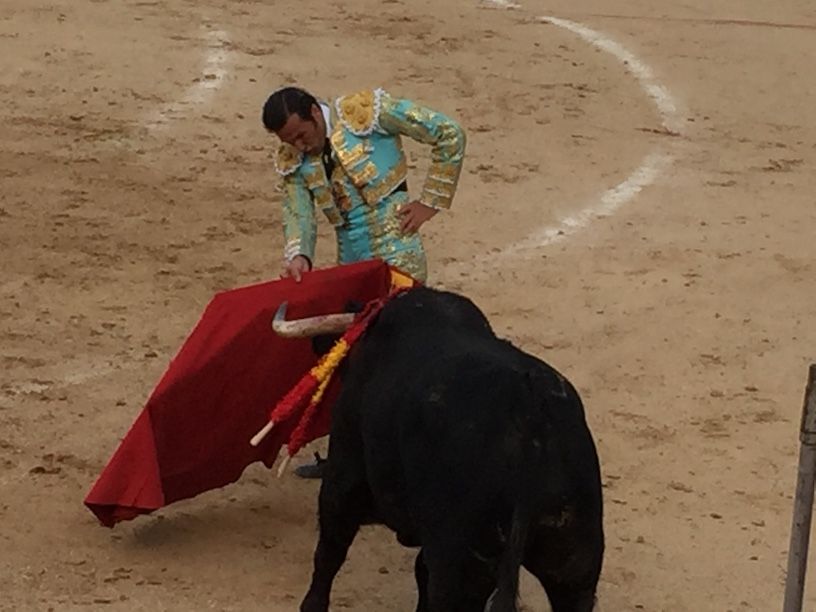 Crónicas taurina y social de la Corrida de Toros de Majadahonda 2018: todas las imágenes