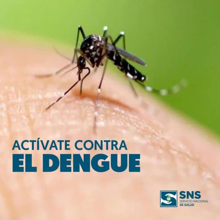 El Instituto Carlos III (Majadahonda) advierte del peligro mortal de las nuevas garrapatas y “mosquitos tigre” El Instituto Carlos III (Majadahonda) advierte del peligro mortal de las nuevas garrapatas y “mosquitos tigre”