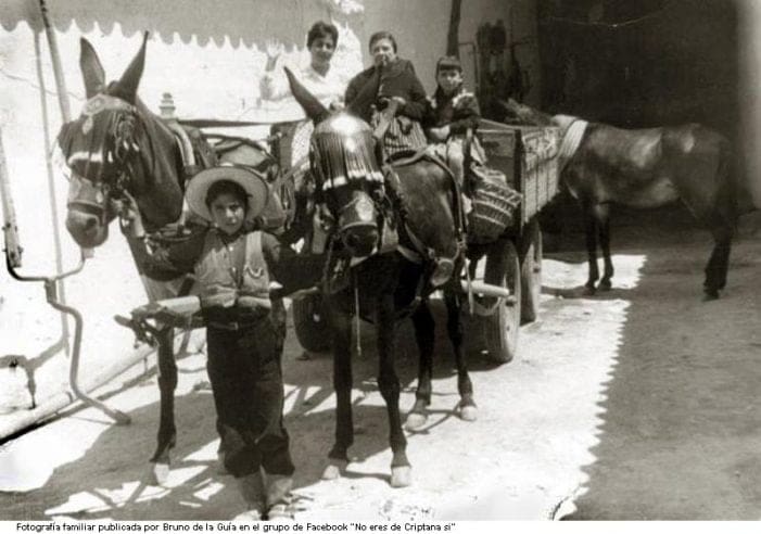 “Trabajando con 13 años como labrador y mulero: el instinto animal” (Majadahonda, 1907) “Trabajando con 13 años como labrador y mulero: el instinto animal” (Majadahonda, 1907)