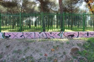 grafitis grafitis