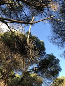 Ruegos y preguntas de los ciudadanos