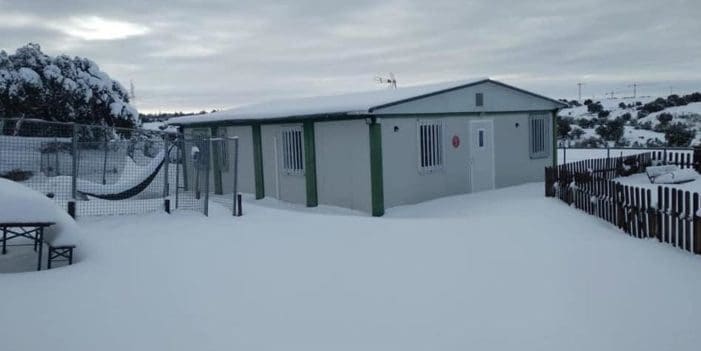 Un empleado de la perrera municipal de Majadahonda camina 7 horas para alimentar a los animales abandonados Un empleado de la perrera municipal de Majadahonda camina 7 horas para alimentar a los animales abandonados