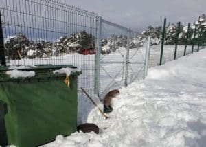 La Concejalía de Vigilancia y Control de animales domésticos es responsabilidad de la concejala Marina Pont (PP)