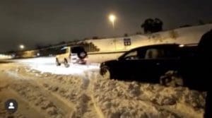 la mascota "Gucci" (Antonio Machado)