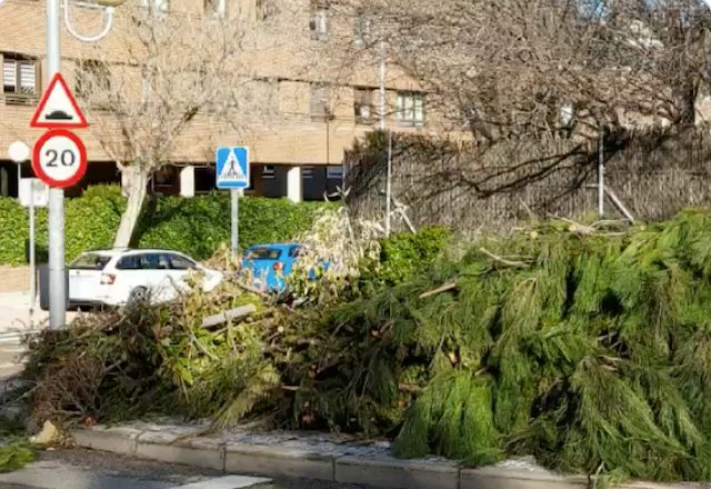 30 días después de la nevada, árboles y ramas sin recoger: protestas vecinales en Majadahonda y Las Rozas