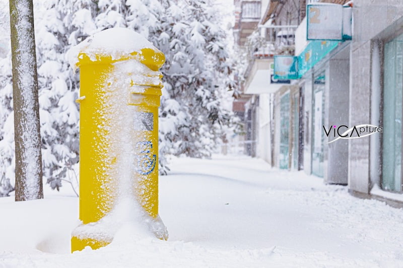 Se cumple un mes de la nevada: 50 imágenes de Majadahonda (Madrid) que nunca olvidaremos