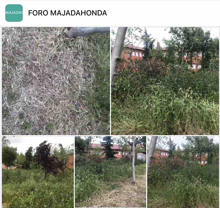 Los vecinos de Majadahonda preguntan: «el mal estado de dos parques y traer el Metro de Madrid»