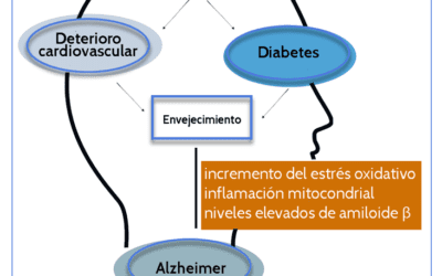 Salud Majadahonda: más alzheimer y diabetes para los que comen carne, roja o blanca, incluyendo aves y pescado (VII)