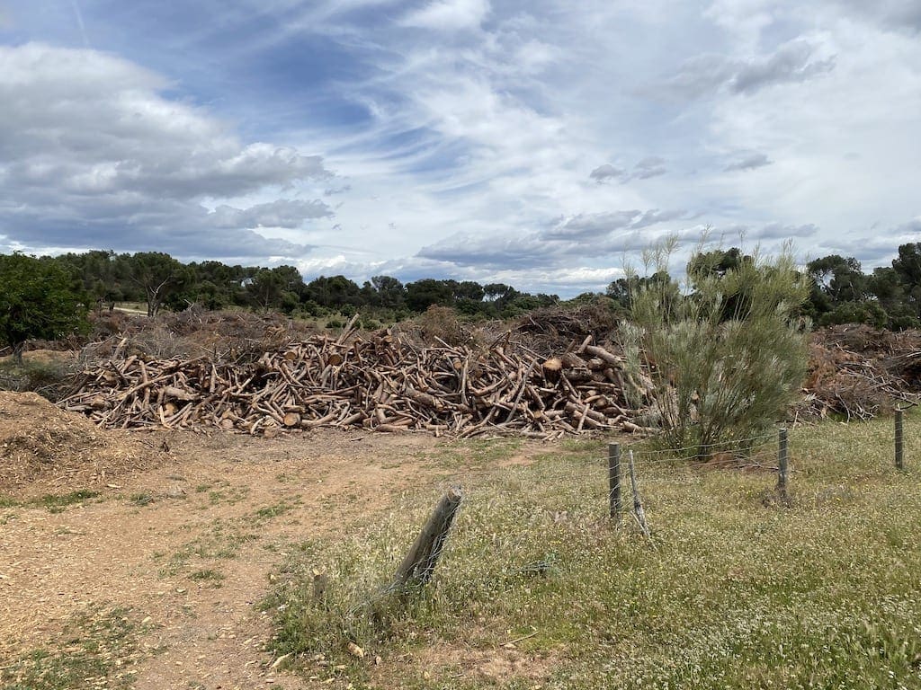 «Vecinos por Majadahonda» pide el cierre de la revista municipal y su reconversión a formato digital