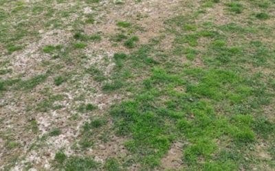 El césped del estadio Valle del Arcipreste (Majadahonda) vuelve a romperse 15 meses después de renovarse por 300.000 €
