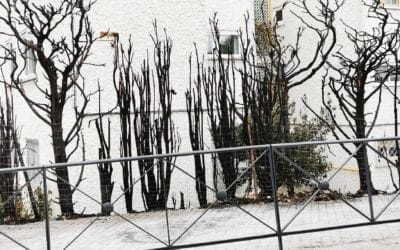 Desolador paisaje después del incendio en Majadahonda: ejemplar actuación de Bomberos y Guardia Civil