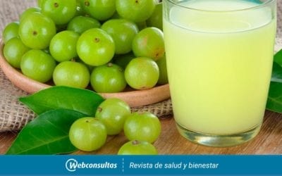 Salud Majadahonda: el alimento natural con más antioxidantes es el amla (grosella india deshidratada)