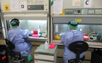 «Se está ocultando que ya existe otro laboratorio de alto riesgo como el que van a crear en Majadahonda»