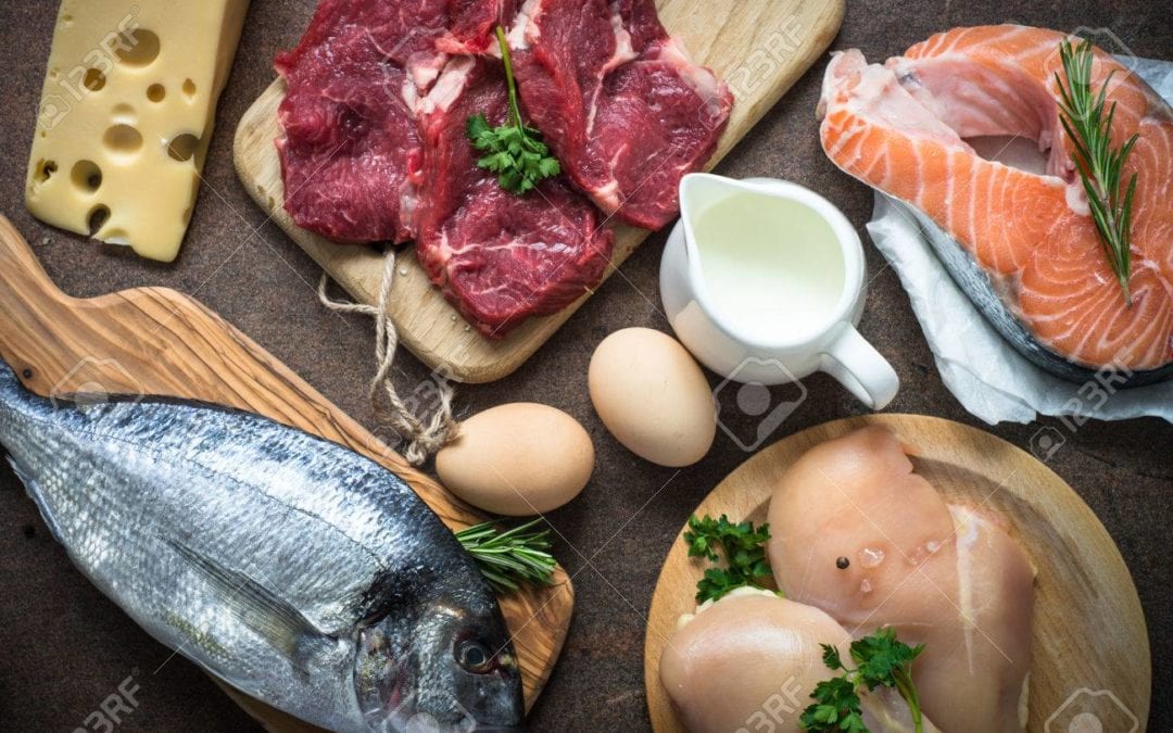 Salud Majadahonda: enfermedades hepáticas e hipertensión en los que comen carne, pescado, huevos y leche (XI)