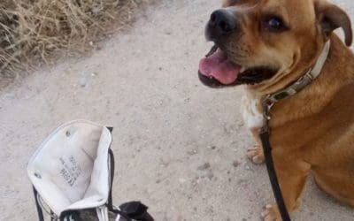 Los vecinos de Majadahonda preguntan: deterioros urbanos, cámaras de seguridad que siguen sin funcionar