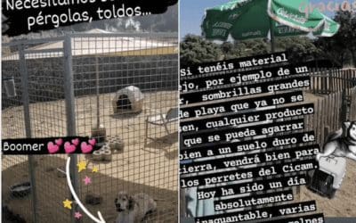 «La perrera municipal de Majadahonda necesita toldos y sombrillas»