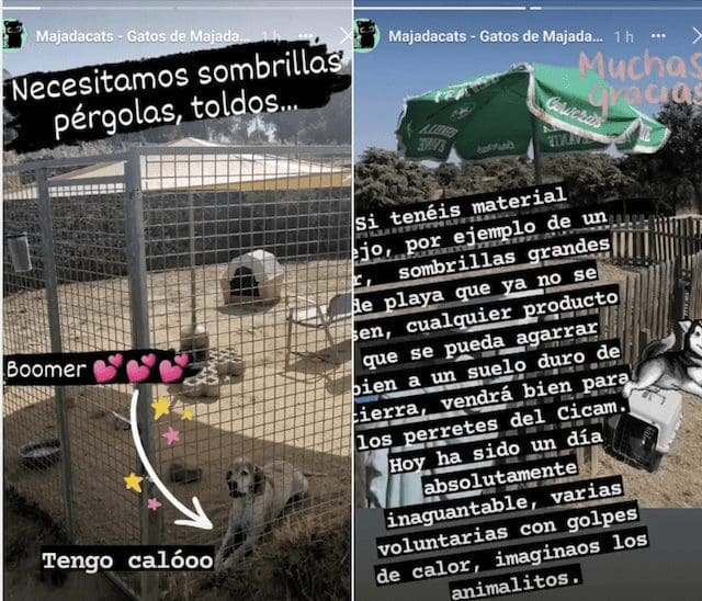«La perrera municipal de Majadahonda necesita toldos y sombrillas»