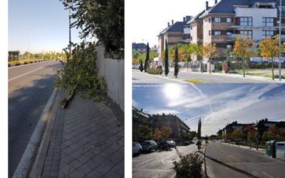 Los vecinos de Majadahonda echan de menos los cines de verano: proponen gestionar mejor la compra de flores