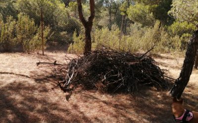 Majadahonda: descuido en la limpieza, mal estado de los columpios en parques y jardines sin recoger