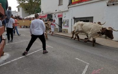 Villanueva del Pardillo celebra sus fiestas con el alcalde del Partido Local al frente: los encierros y el programa