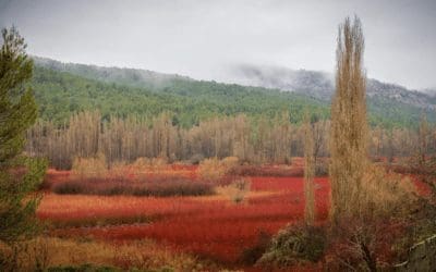 Majadahonda: últimos días para apuntarse al Taller de Josefa Calzado sobre fotografía de paisaje y nocturna con viaje a Cuenca
