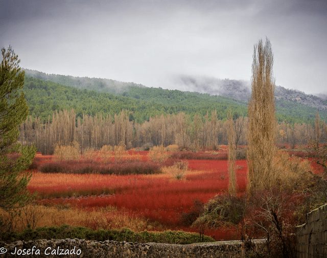 Majadahonda: últimos días para apuntarse al Taller de Josefa Calzado sobre fotografía de paisaje y nocturna con viaje a Cuenca