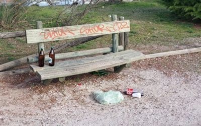Parques: deterioro en Majadahonda y «sana envidia» por el nuevo «Parque del Dinosaurio» en Las Rozas