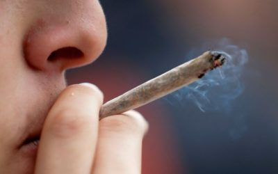 Salud Majadahonda: «No todas las variedades de marihuana son igual de adictivas pero hoy es 15 veces mayor que en los 70»