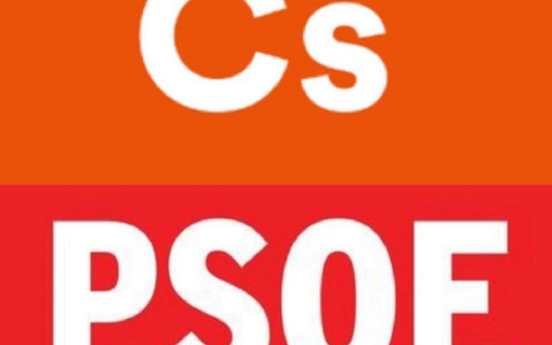La propuesta de Cs contra el maltrato que no gusta a PP-Vox y la subvención de 300.000 € que pierde el Ayuntamiento de Majadahonda (PSOE)