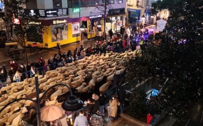 El rugby, las ocas y las ovejas, protagonistas de la Cabalgata de Reyes de Majadahonda 2022: 1 vídeo y 50 fotos