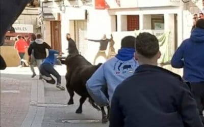 Fiestas de Valdemorillo 2022: pregón de Victorino Martín, un herido en un encierro, éxito de Morante y ausencia de Cayetano Rivera por fractura