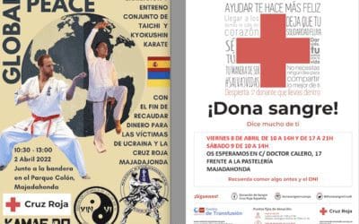 Cruz Roja y dos asociaciones de artes marciales protagonizan una exhibición en el Parque de Colón de Majadahonda