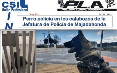 El Ayuntamiento de Majadahonda encierra a su perro policía en un calabozo: «son habituales sus constantes ladridos y lloros al encontrarse completamente solo»