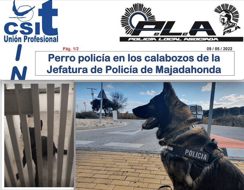 El Ayuntamiento de Majadahonda encierra a su perro policía en un calabozo: «son habituales sus constantes ladridos y lloros al encontrarse completamente solo»