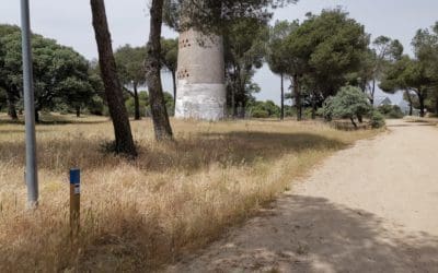 Marcelino califica el circuito por el que ha cobrado del Ayuntamiento de Majadahonda como “fabuloso, excepcional y magnífico” (IV)