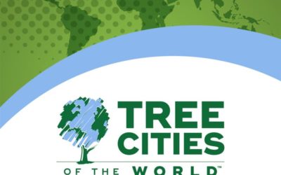 «Tree Cities of the World» (ranking): Las Rozas (3º), Navacerrada (4º), Majadahonda (6º), Arroyomolinos (9º) y Sevilla la Nueva (11º)