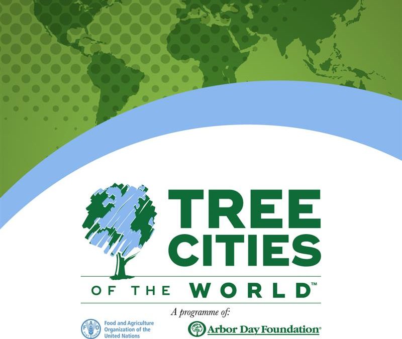 «Tree Cities of the World» (ranking): Las Rozas (3º), Navacerrada (4º), Majadahonda (6º), Arroyomolinos (9º) y Sevilla la Nueva (11º)