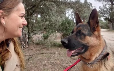 Ana Rivero (Majadahonda): «Dejé mi trabajo en una multinacional para dedicarme a cuidar y pasear perros»