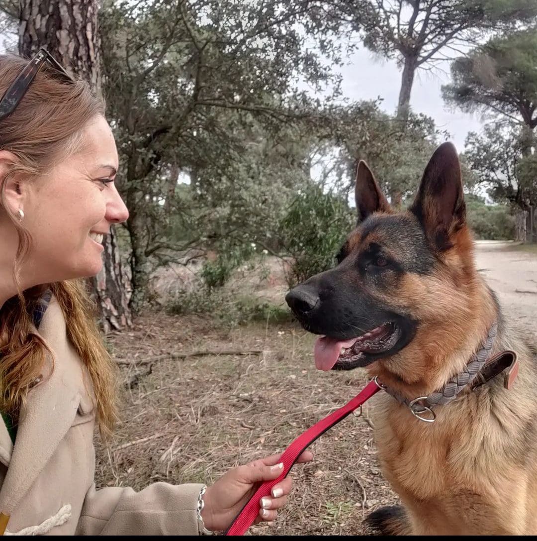 Ana Rivero (Majadahonda): «Dejé mi trabajo en una multinacional para dedicarme a cuidar y pasear perros»