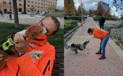 Paramascotas (Majadahonda): «educamos desde cachorros de 2 meses hasta abueletes de 15 años»