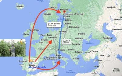 7 rumanos y españoles inundaban de marihuana Finlandia, Alemania e Italia desde Majadahonda 