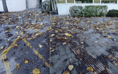 El Ayuntamiento de Majadahonda se niega a limpiar las hojas del centro de salud «Cerro del Aire»