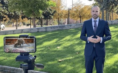 El alcalde responde: «No hay un problema de ratas en Majadahonda, es de la Comunidad de Madrid y de toda España por cambiar la química del exterminio»