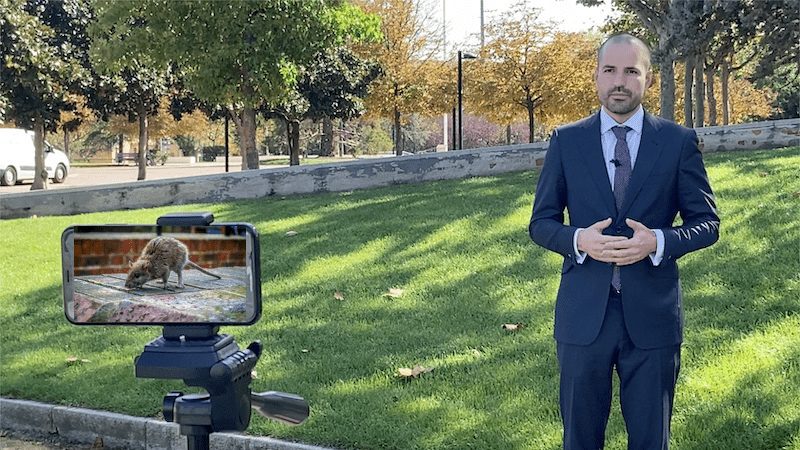 El alcalde responde: «No hay un problema de ratas en Majadahonda, es de la Comunidad de Madrid y de toda España por cambiar la química del exterminio»