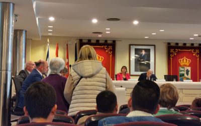 Una vecina del Arroyo (Majadahonda) logra hacerse oír en el pleno del Ayuntamiento: «¡Aquí nadie hace nada!»